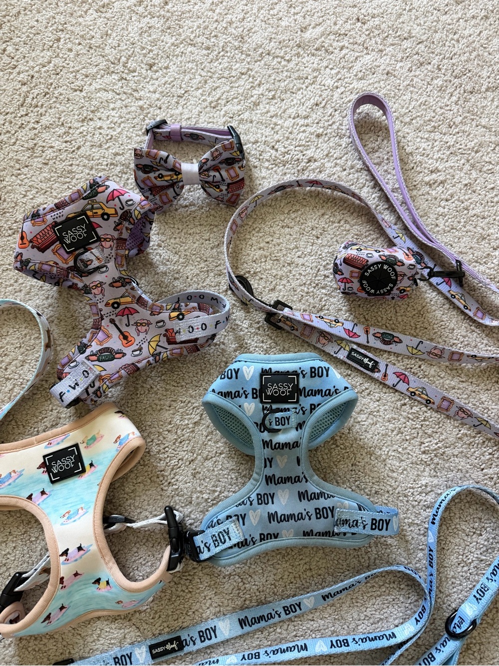 Sassy Woof Harness Leash Bundle - Picture 3 of 16
